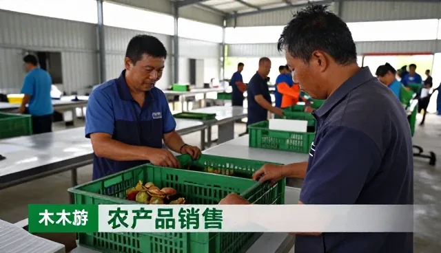 为什么越来越多农产品选择农产品