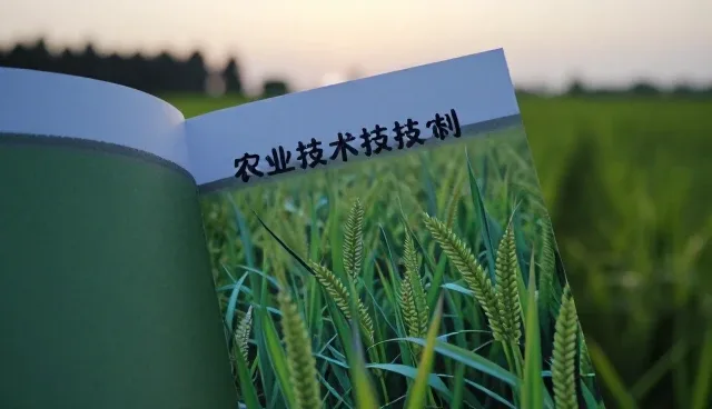 农机技术服务如何提升保鲜效果？